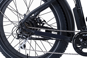 RadRover Electric Fat Bike Version 5key feature 2