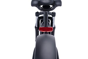 RadRover Electric Fat Bike Version 5key feature 4