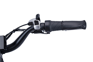 RadRover Electric Fat Bike Version 5key feature 7