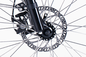 RadCity Electric Commuter Bike Version 4key feature 8