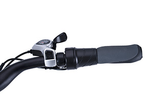RadCity Electric Commuter Bike Version 4key feature 7