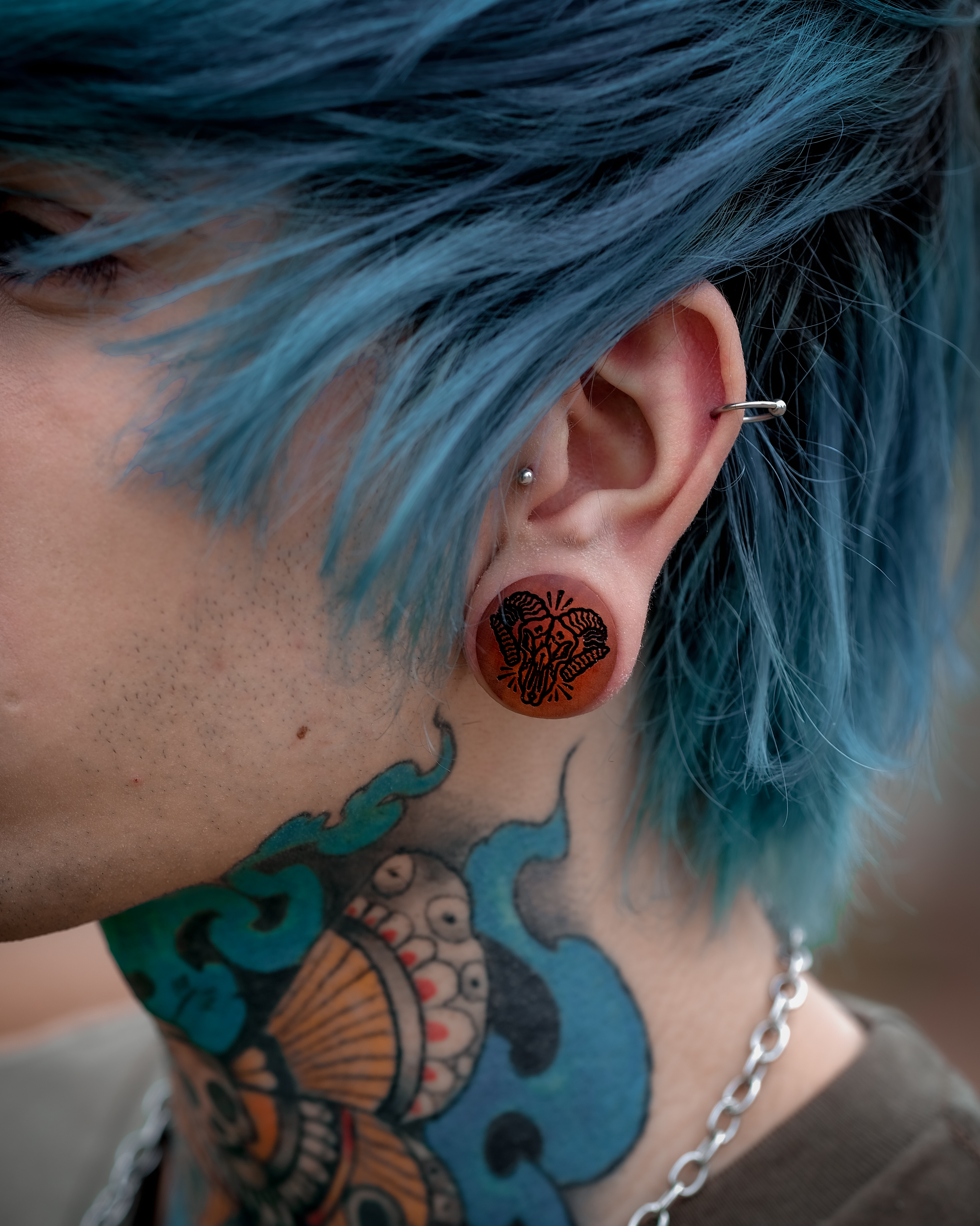 Ram Skull Plug / Gauge - Saba Wood | Convex Double Flare