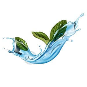 Refreshing Odor Treatment Socks