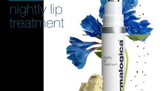 Dermalogica Nightly Lip Treatment