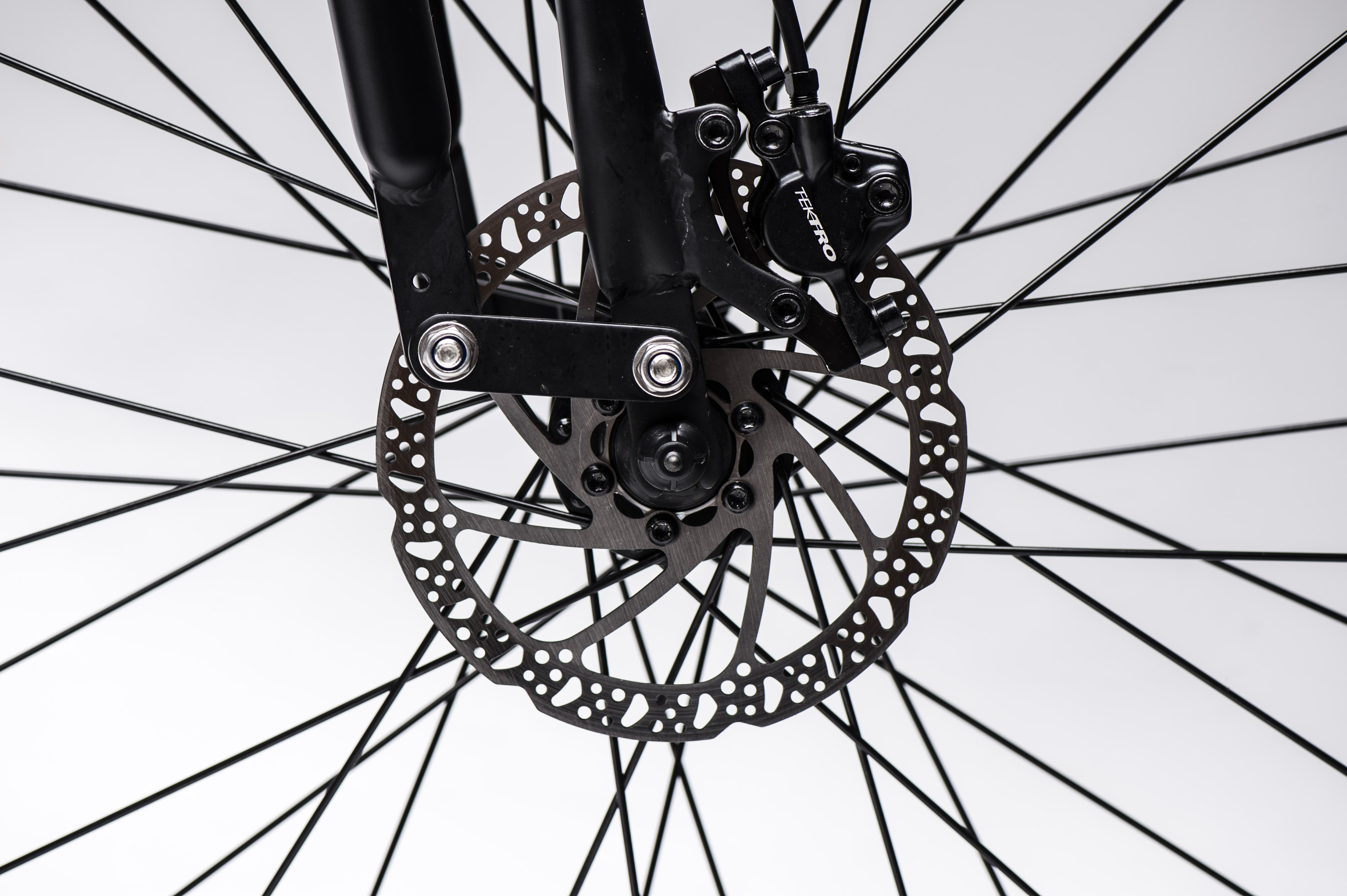 Vallkree The Dragster 250 e-Bike