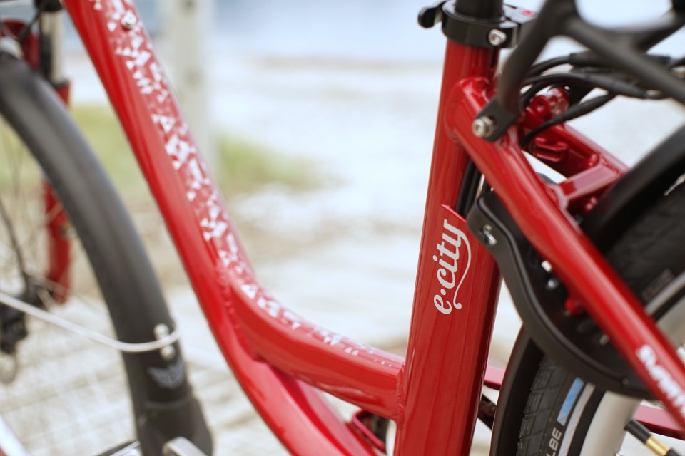SmartMotion E-City e-Bike - 24inch Wheels