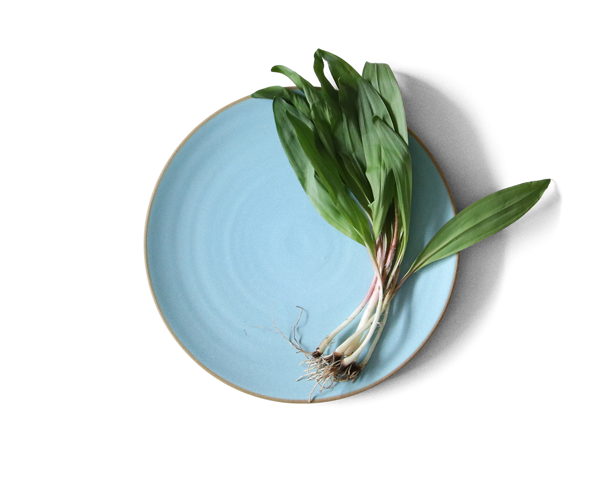 105-coupe-entree-plate