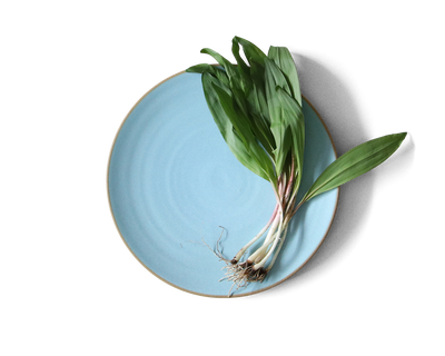 105-coupe-entree-plate