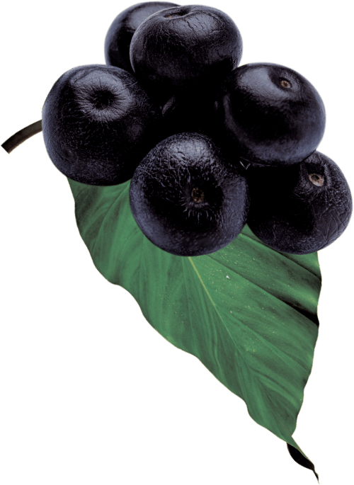 GO BIG ingredients acai berry