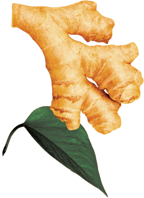 GO BIG ingredients ginger