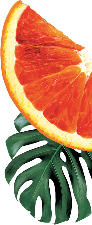GO BIG ingredients blood orange