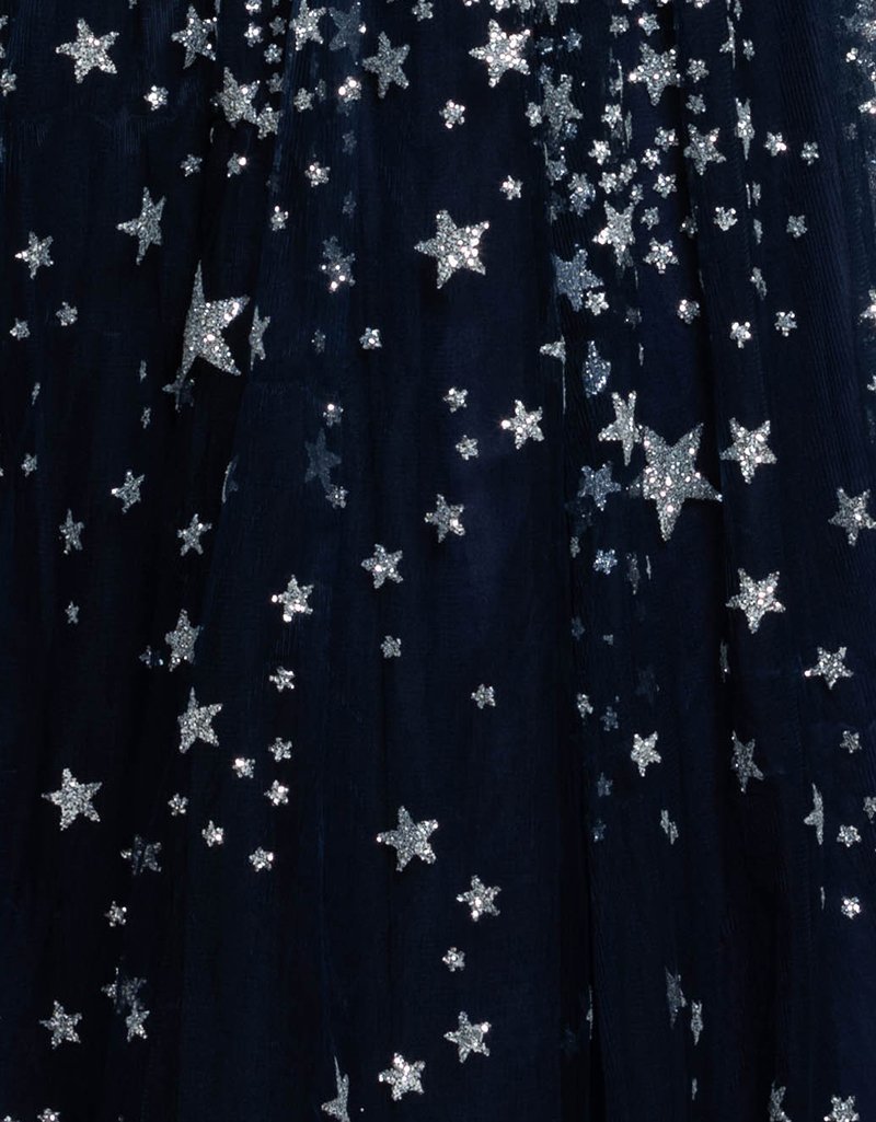 layla light blue and rose gold floral print midi dress bariano