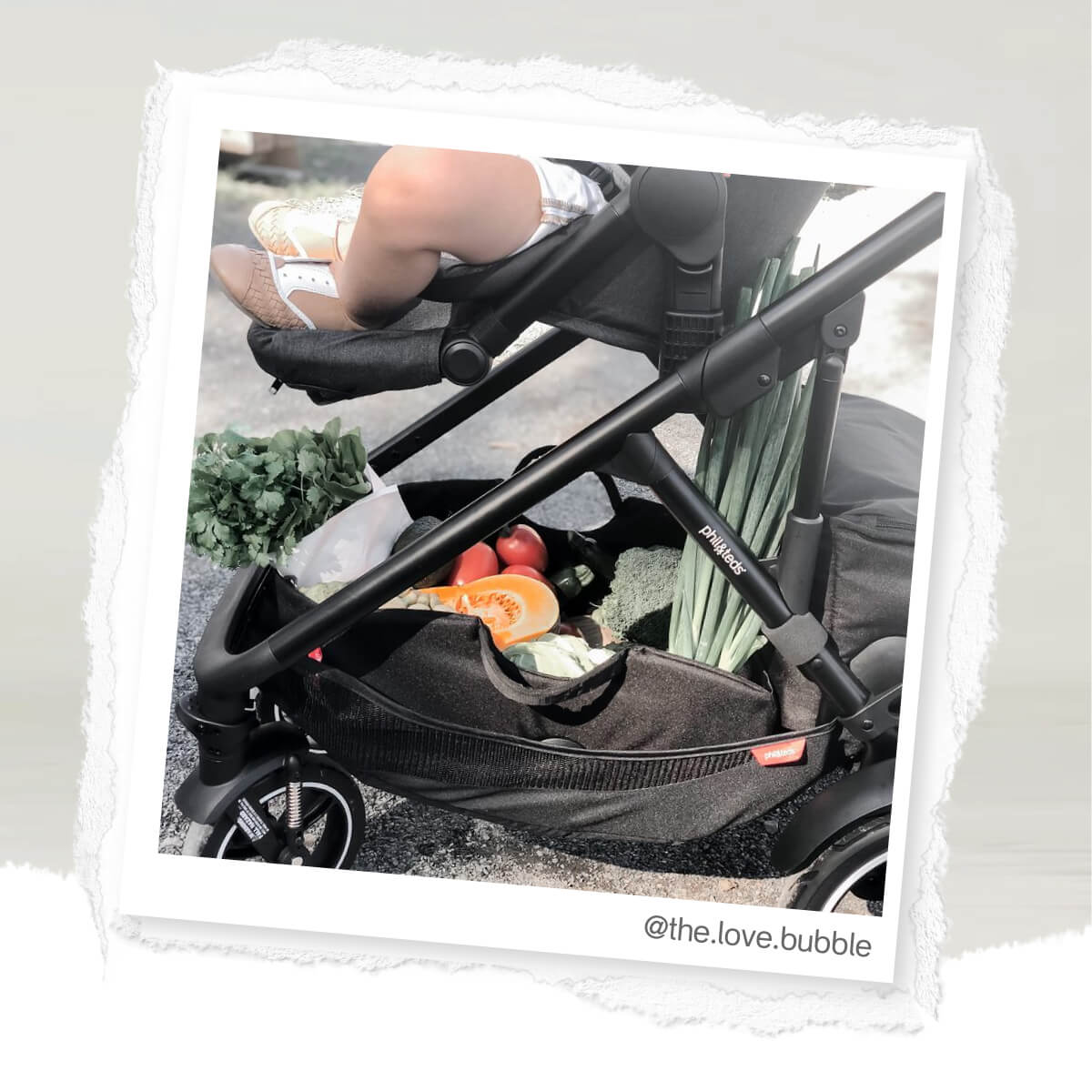 Voyager Doble Snug Carrycot Push Phil Teds