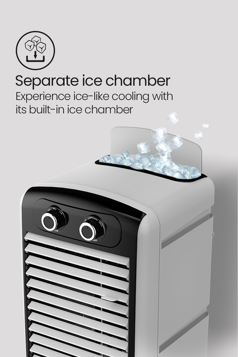Separate Ice Chamber