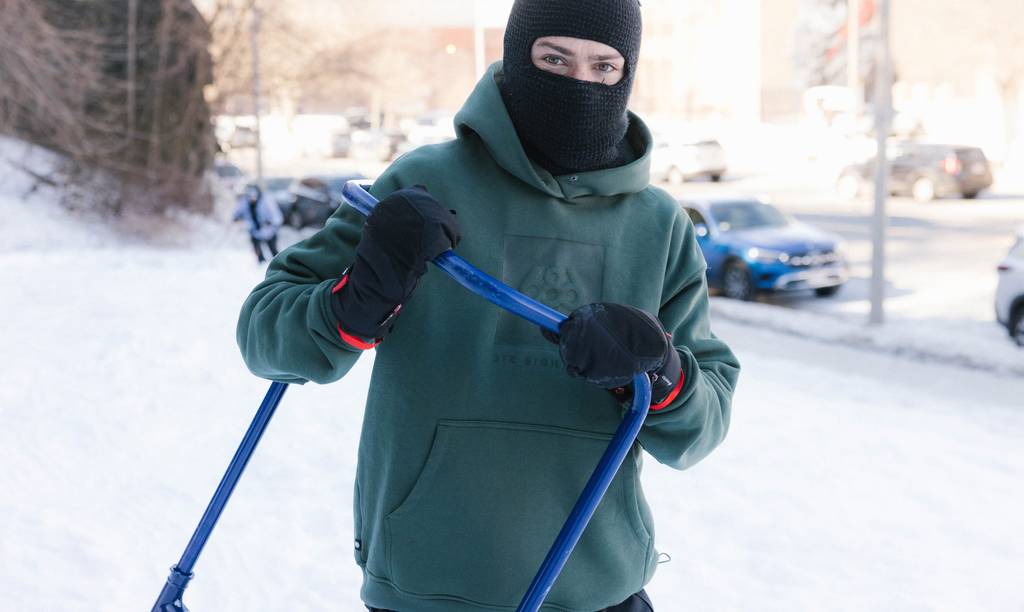 Image MOSS GREEN / S