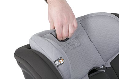 adjustable headrest and harness