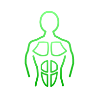Assess left/right strength symmetry