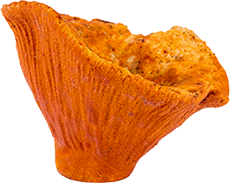 Champignons crabes du Québec