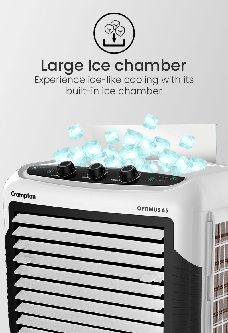 Large Ice Chamber