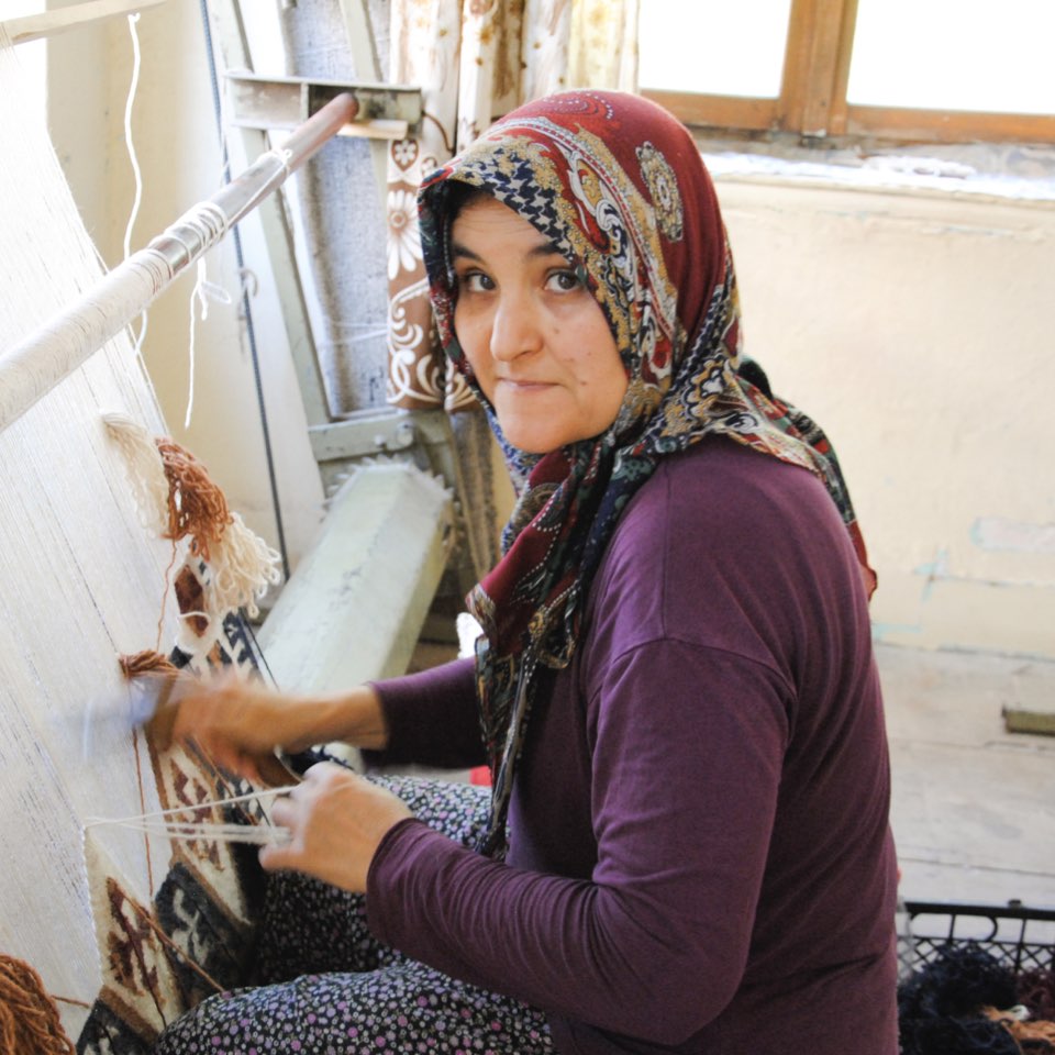 Ediz Hand-Knotted Area Rug | The Citizenry