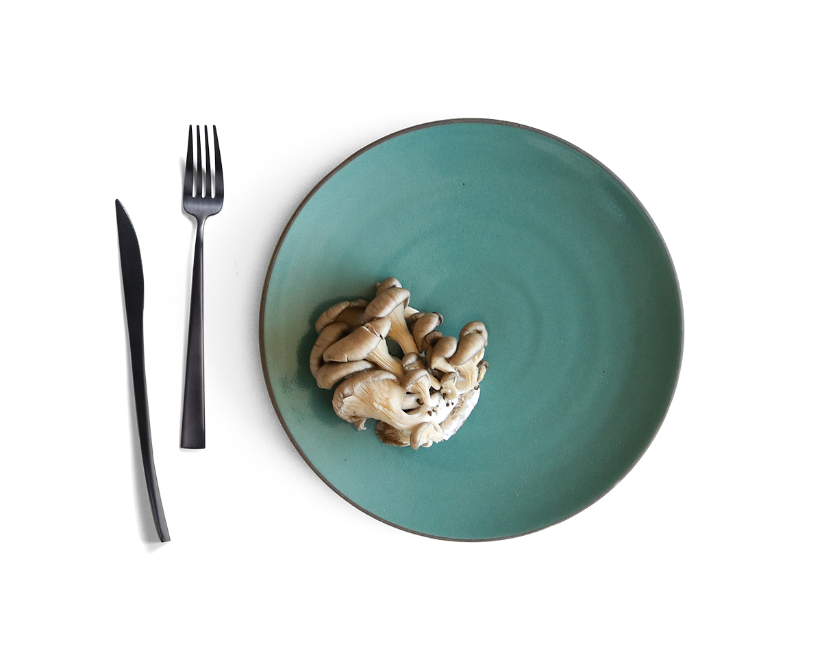 105-coupe-entree-plate