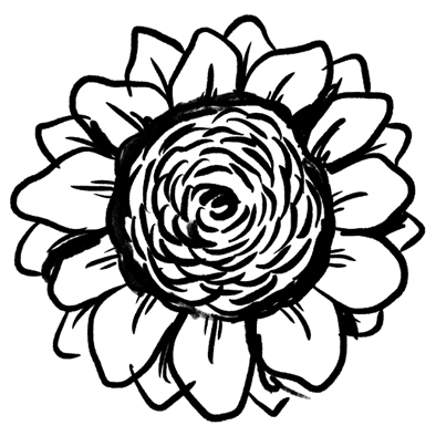 Sunflower Seed Oil