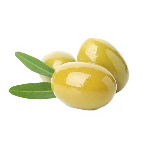 Cucumber Fresh Vegan Hand & Body Créme 17oz