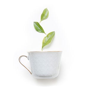 Mani in a Box Waterless 3 Step Green Tea Detox