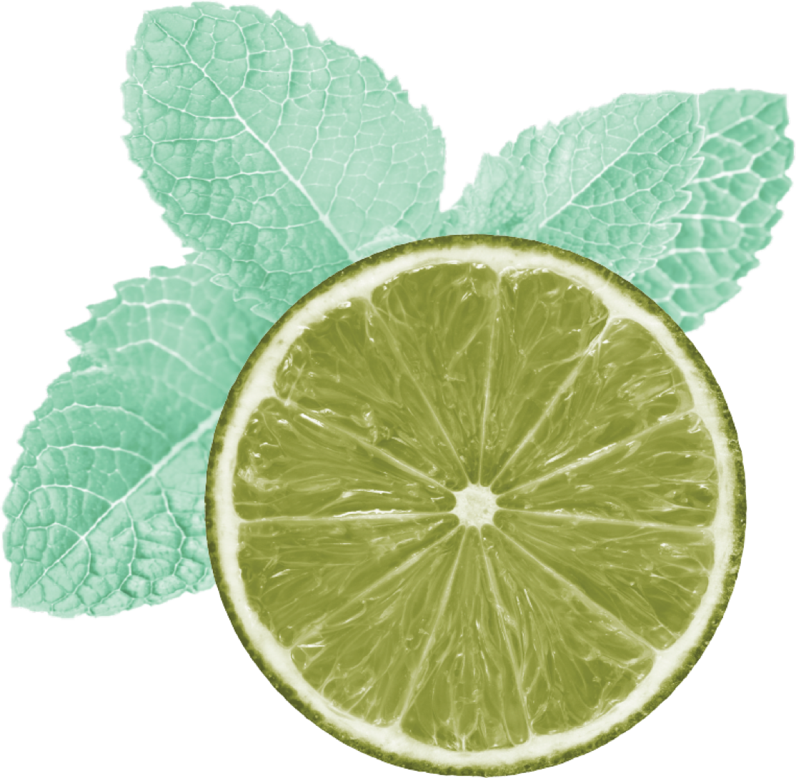 Rum Mojito Troop Beverage Co.