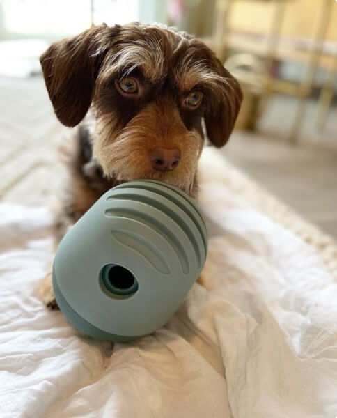 Fable  The Game - Best Dog Enrichment Toy & Feeder In One