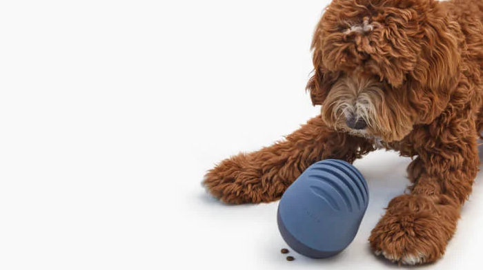 NPET Dog Puzzle Interactive Toys Dog Treat Dispenser – NPET Online