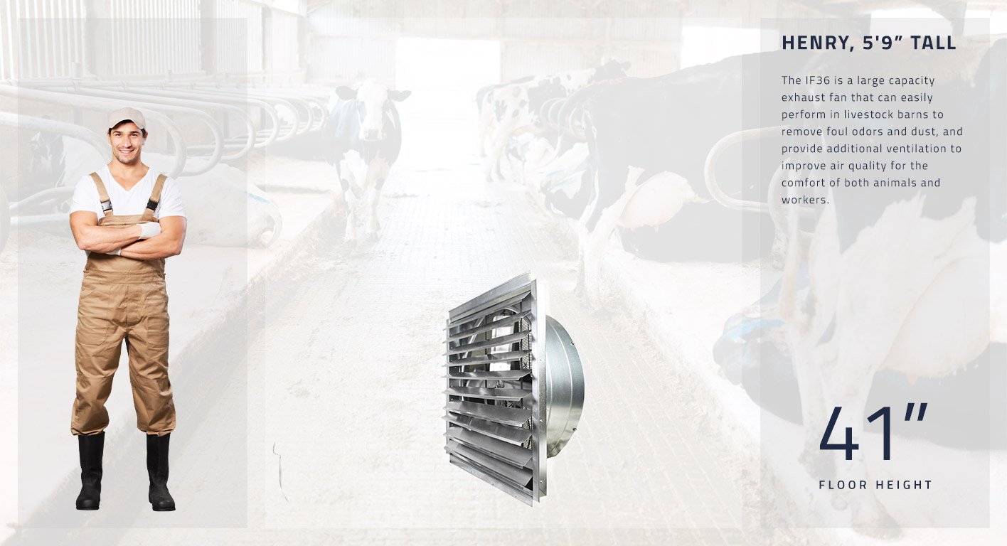 The IF36 is a large capacity exhaust fan that can easily perform in livestock barns to remove foul odors and dust, and provide additional ventilation to improve air quality for the comfort of both animals and workers. This fan measures 41 inches high.