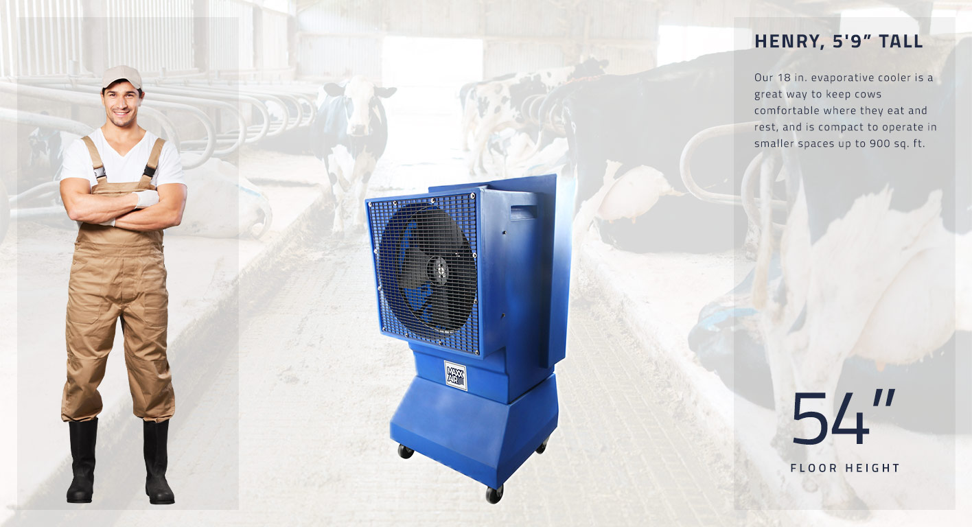 Our 18 in. evaporative cooler is a great way to keep cows comfortable where they eat and rest, and is compact to operate in smaller spaces up to 900 sq. ft. This fan stands at 54 in. tall.