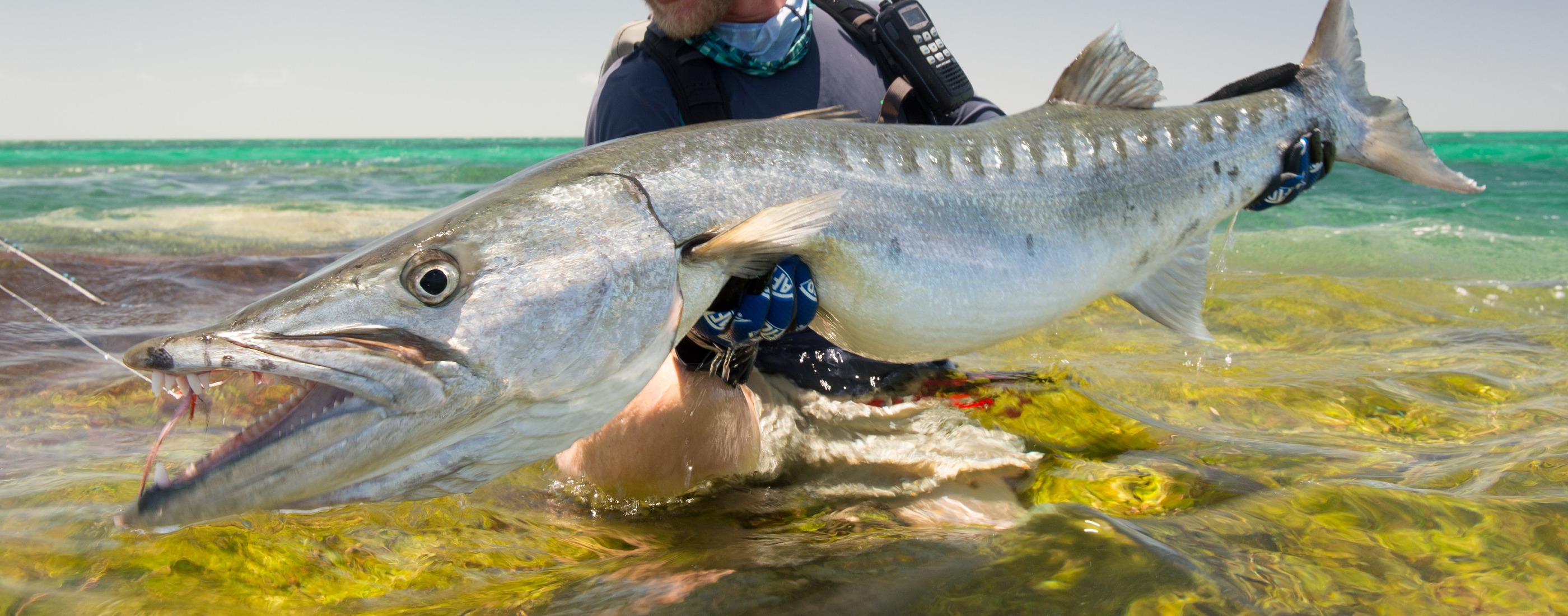 Barracuda Fly Fishing Lodges, Trips, and Guides