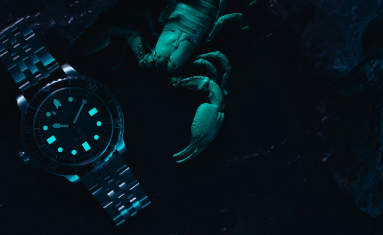 Lume Watches Luminous Analog Watches for Men and Women Nixon AU