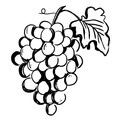 Grape Seed Oil