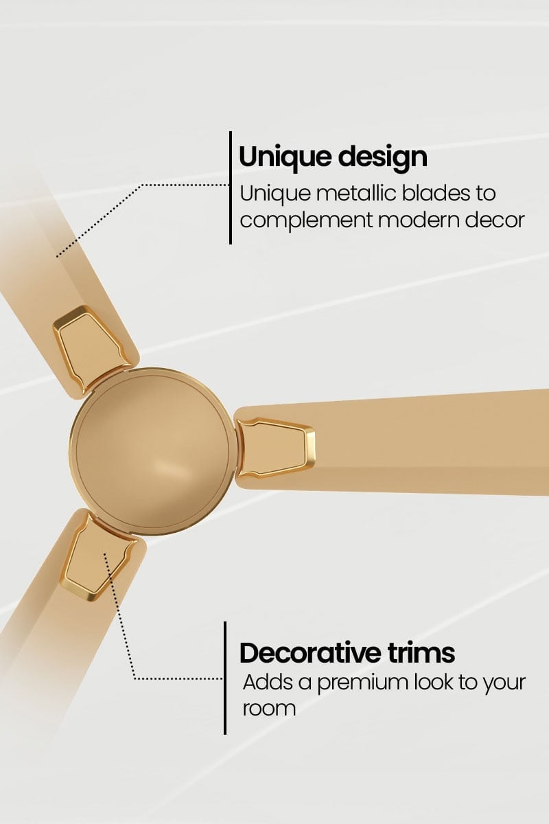 Unique Design, Decorative Trims