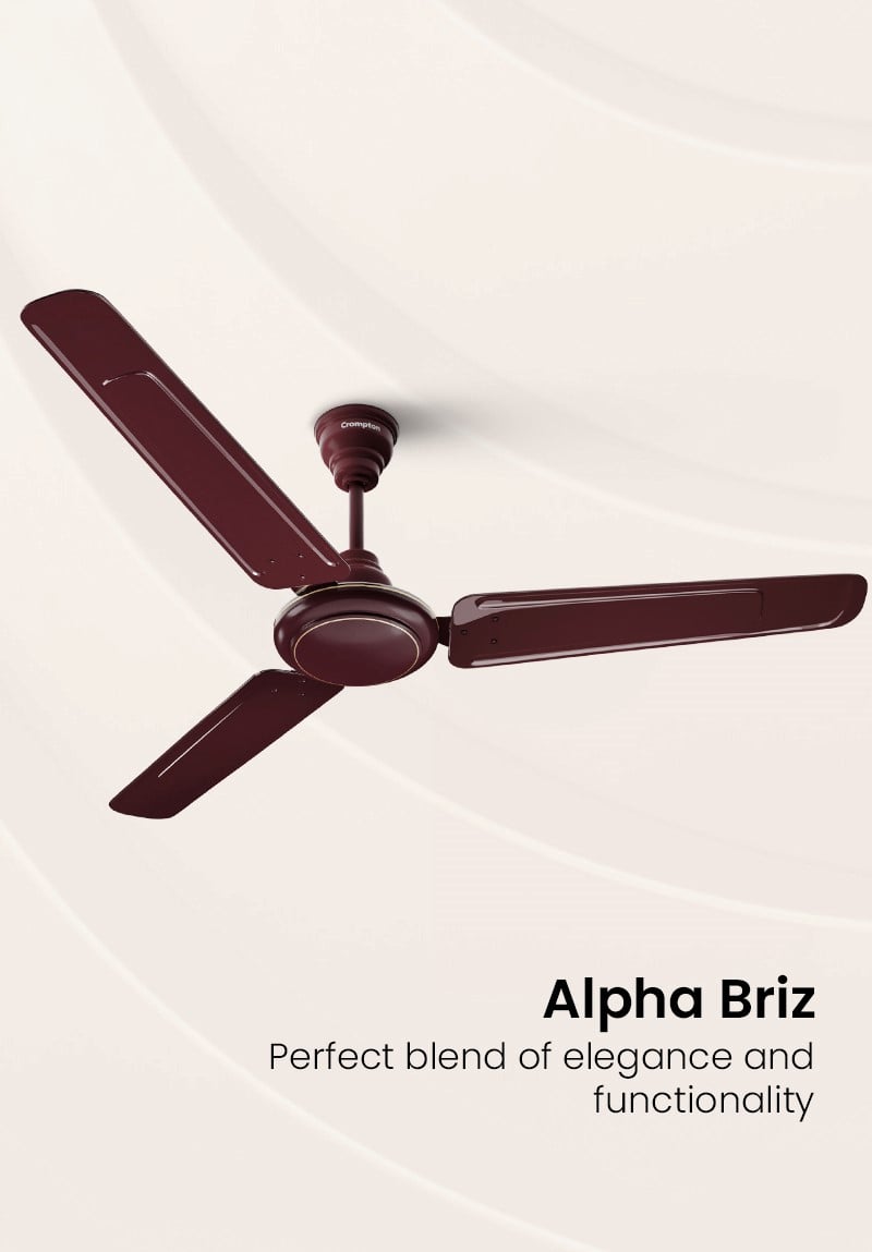 Alpha Briz