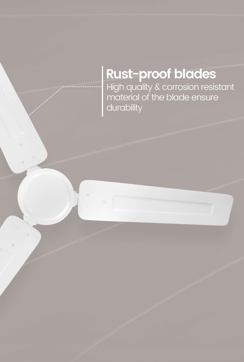 Rust Proof Blades