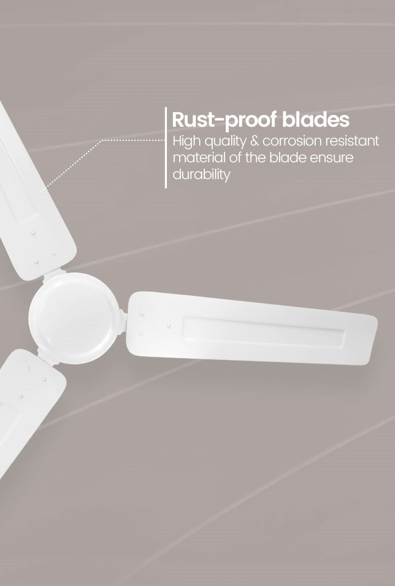 Rust Proof Blades