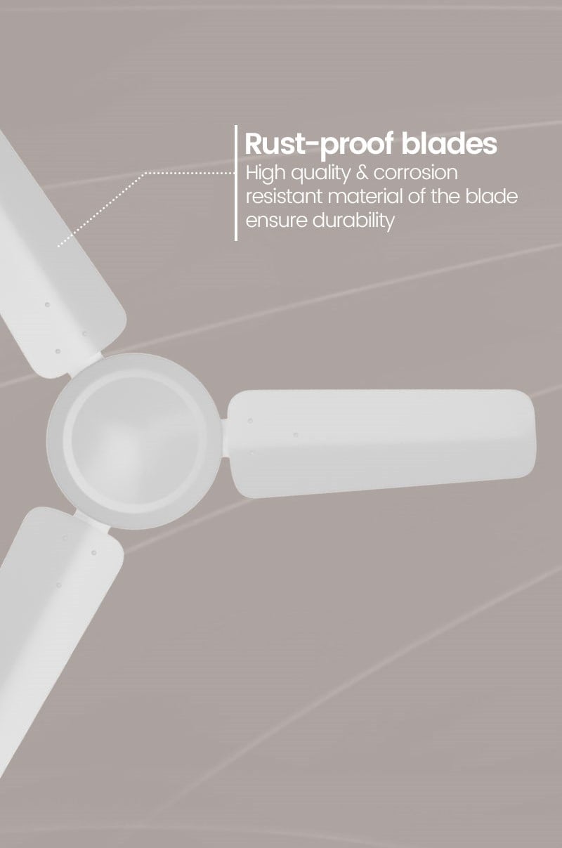 Rust Proof Blades