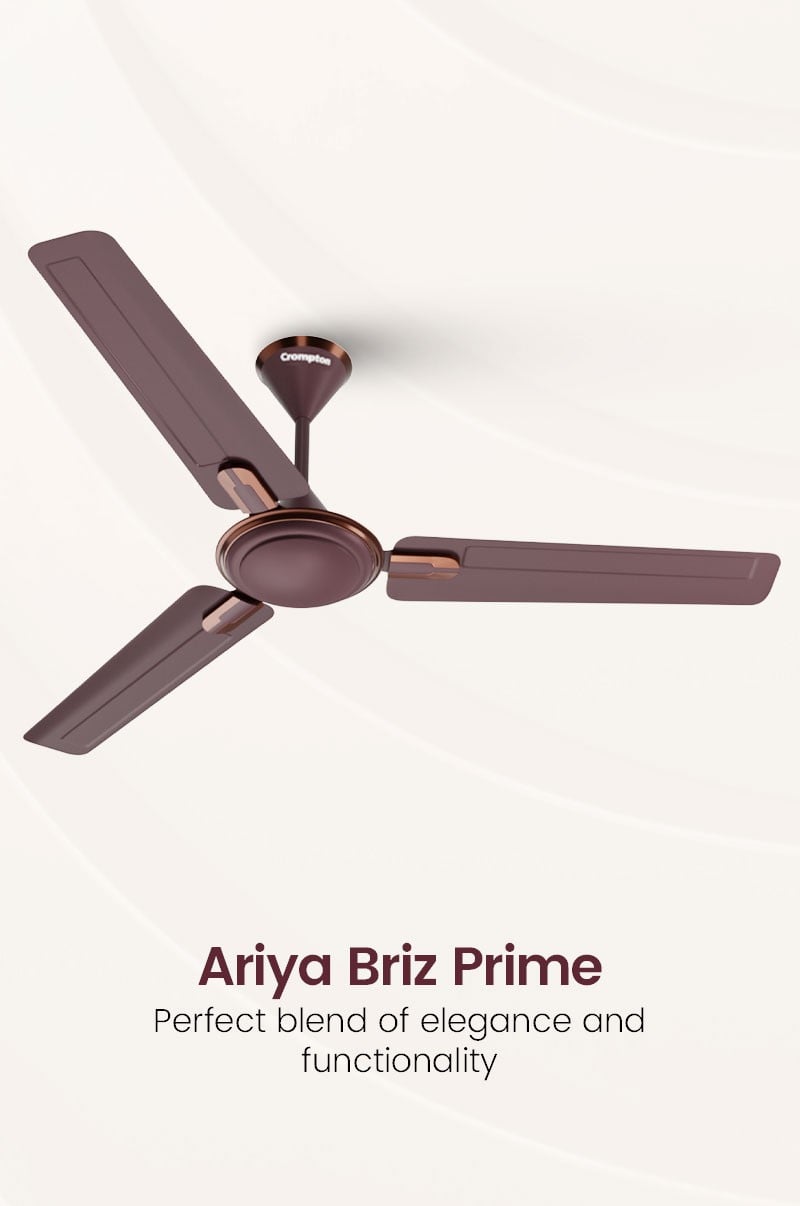 Ariya Briz Prime