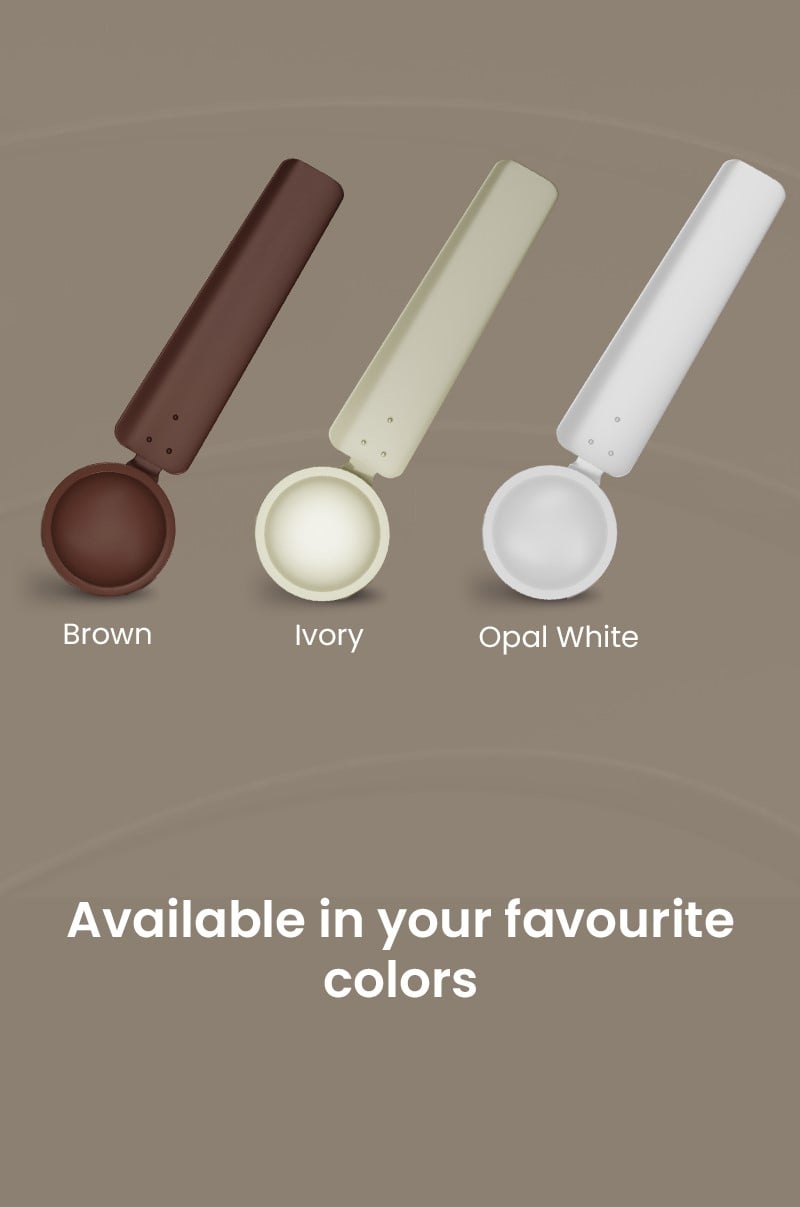 Available in your Favourite Colors