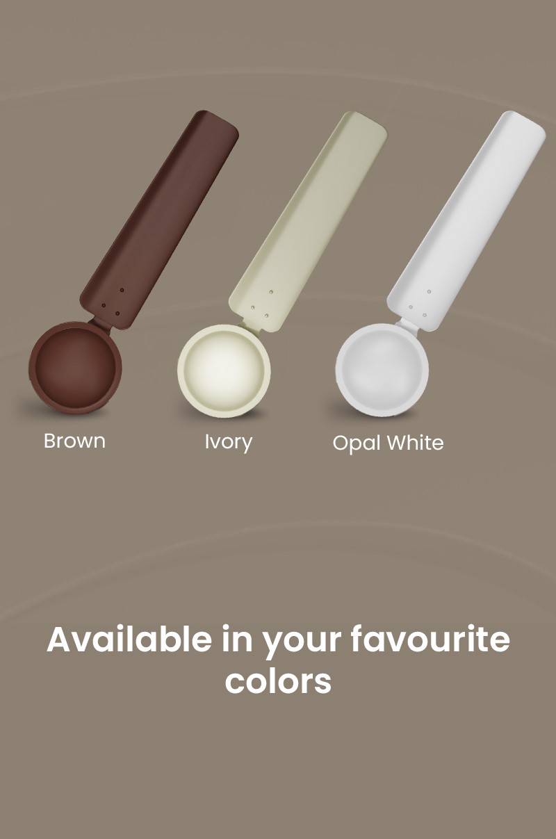 Available in your Favourite Colors