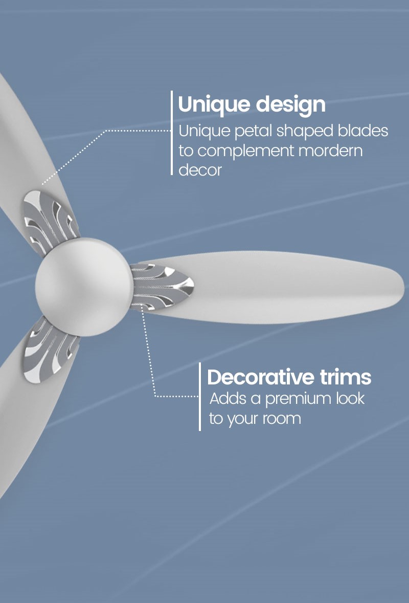 Unique Design, Decorative Trims