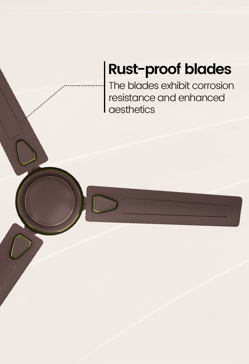 Rust Proof Blades
