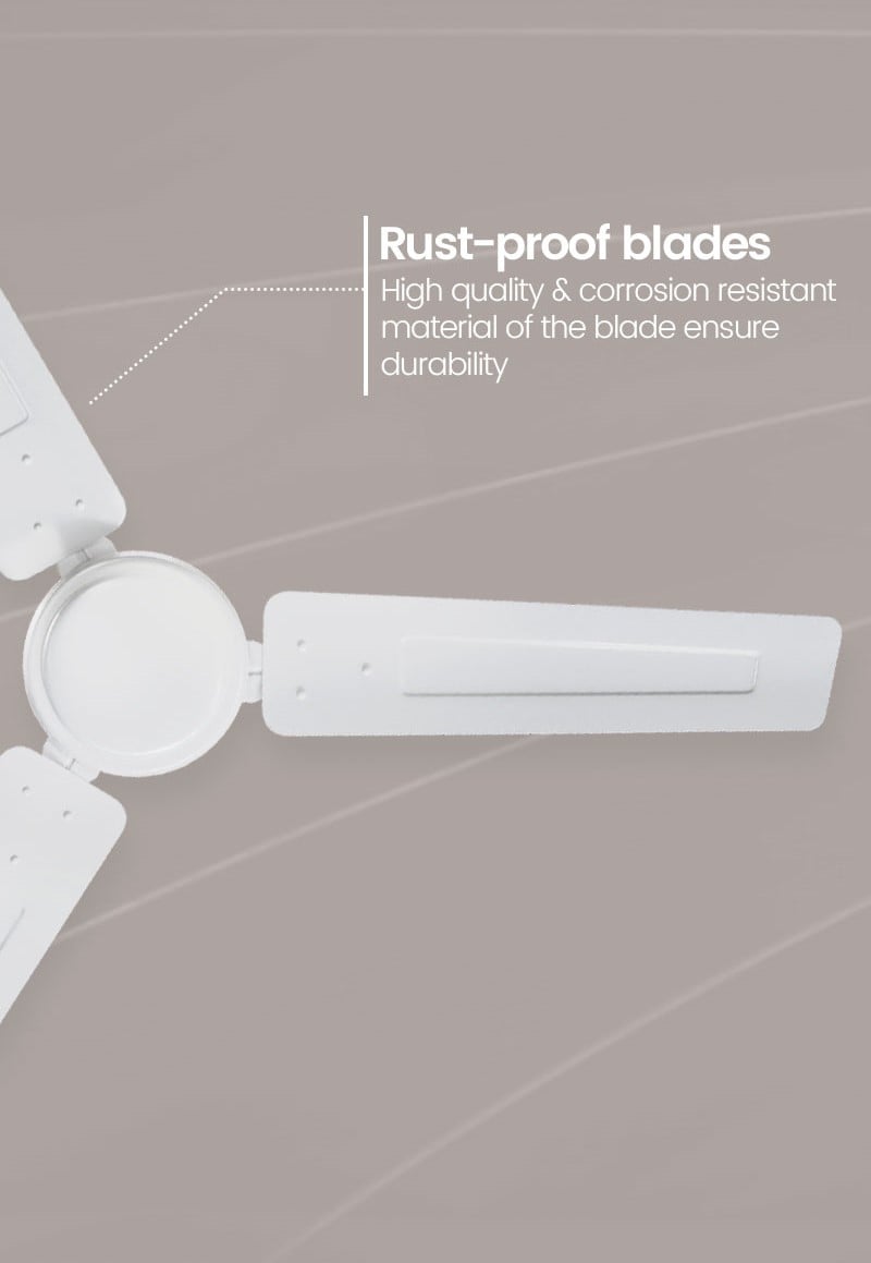 Rust Proof Blades