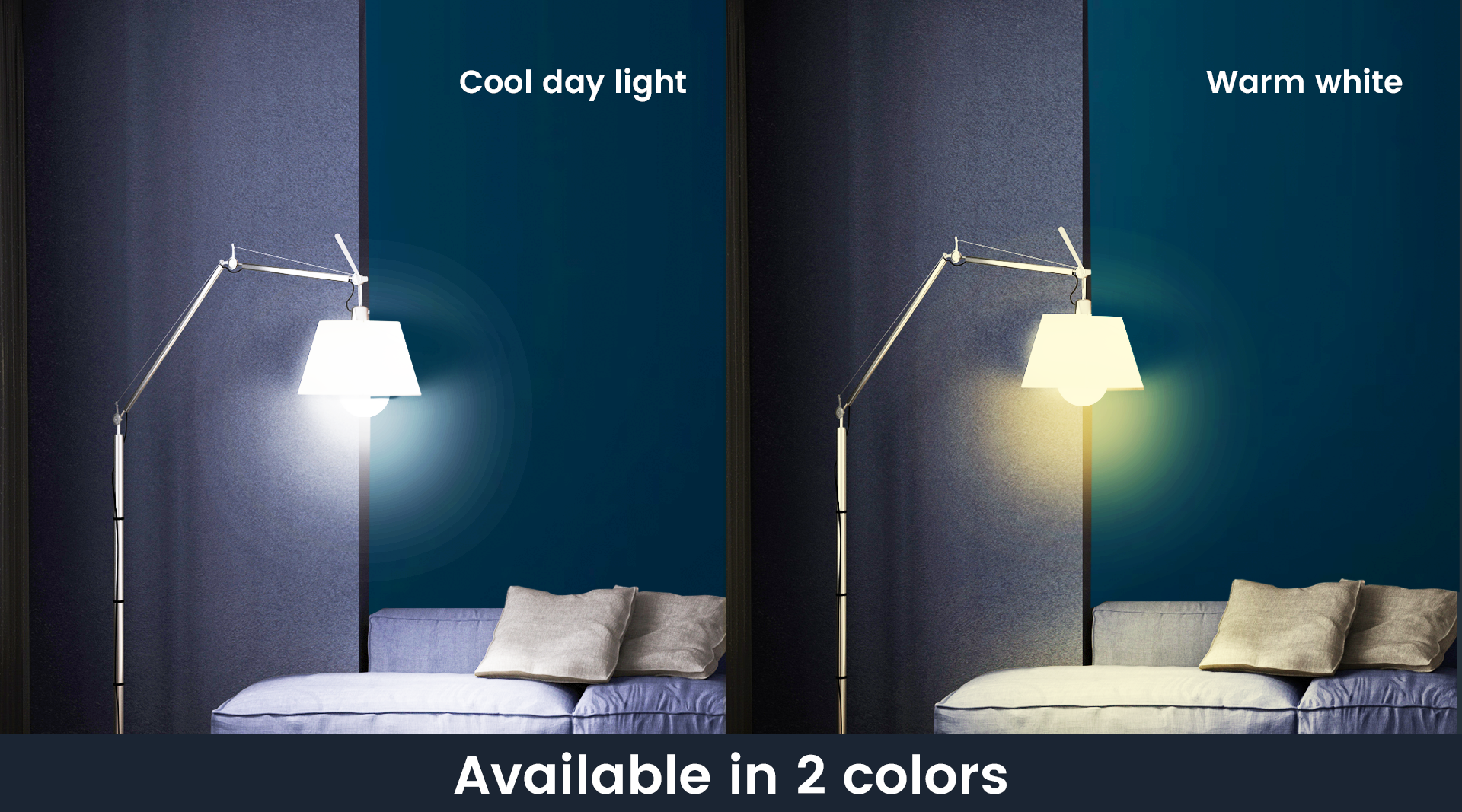 Available in 2 Colors