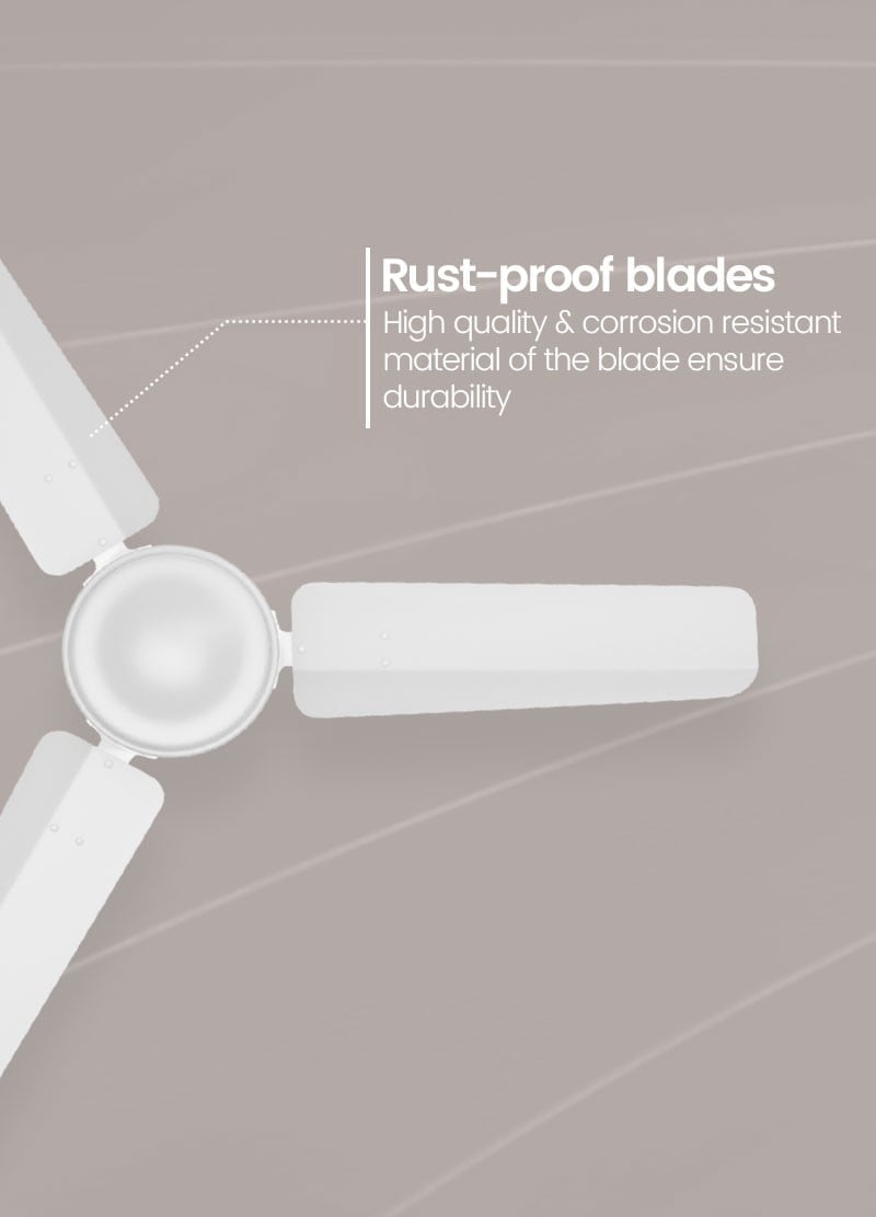 Rust Proof Blades