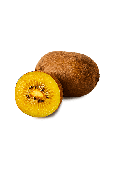 GOLDEN KIWI